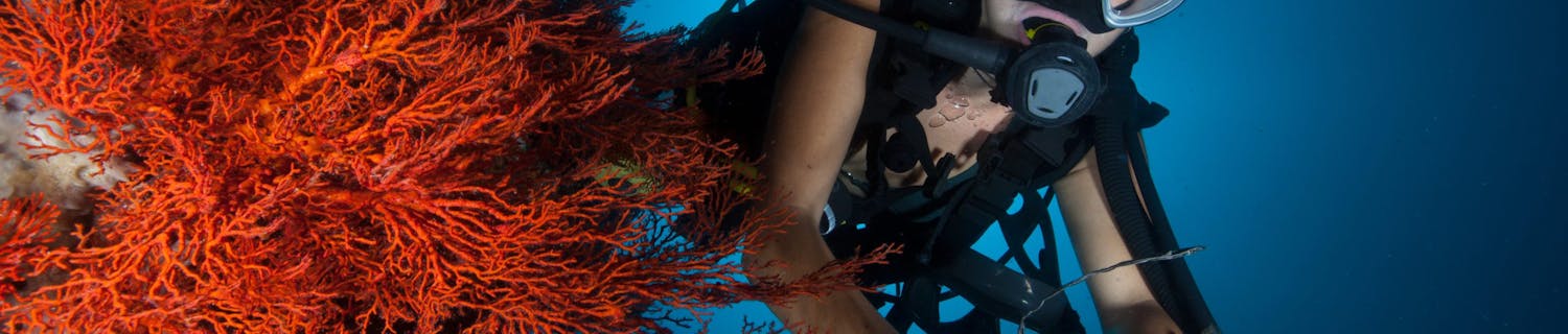 dykare med undervattenskamera